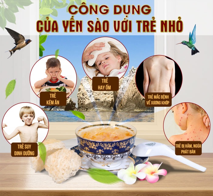 trẻ em và em bé ăn tổ yến sào tốt cho sức khỏe và gia tăng hệ miễn dịch, sức đề kháng